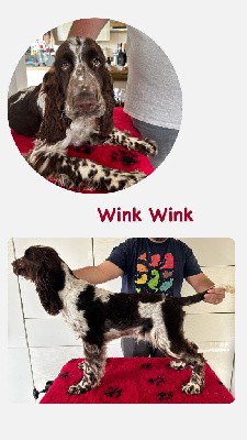 Wink wink