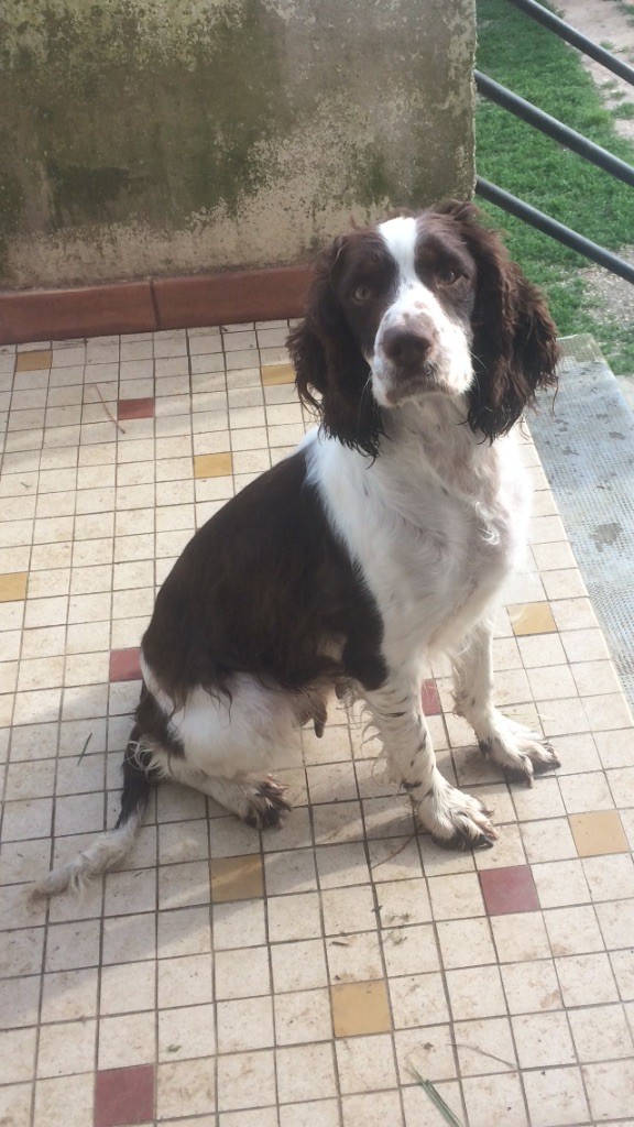 Je suis libertine du Port Vieux of Euskadi