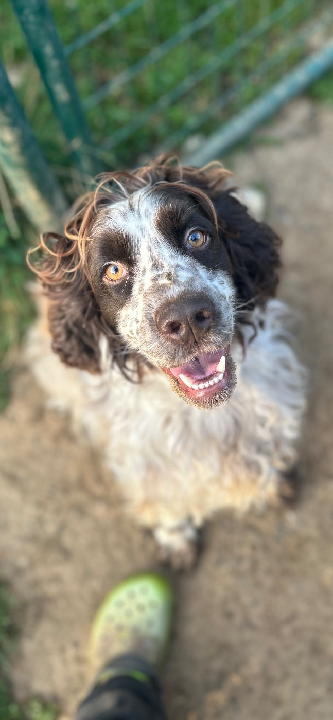Underneath your clothes du Port Vieux of Euskadi